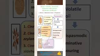 Terpenoids in Cumin Cinnamon amp Coriander Health Benefits amp Uses shorts shortdfeed [upl. by Gwynne]