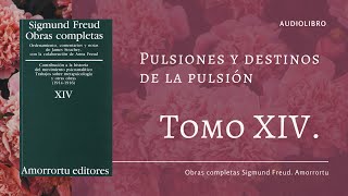 Freud Tomo XIV Pulsiones y destinos de pulsión 1915 en Audio [upl. by Dnomayd]