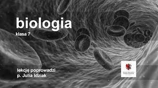 Klasa 7  Biologia  obwodowy układ nerwowy  szkoła [upl. by Lennahs]