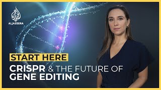 CRISPR What is the future of gene editing  Start Here [upl. by Octavius]