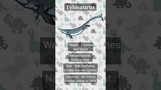 Tylosaurus।। Dinosaurs in a nutshell shorts dinosaur tylosaurus prehistoriclife fossils [upl. by Ahsieni]