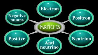 What are Leptons Physics Animation [upl. by Annoed651]