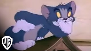 Tom and Jerry Spotlight Collection  Volume 2 Trailer  Warner Bros Entertainment [upl. by Tallu442]