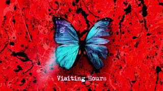 Ed Sheeran  Visiting Hours Official Lyric Video [upl. by Bashee]