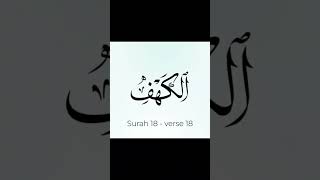 018 Surah Al Kahf عليجابر alijaber الكهف shorts [upl. by Ave]