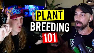 The Basics of Plant Breeding How To Breed Plants Garden Talk 23 [upl. by Atekal]