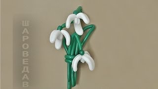 Подснежник Галантус из шаров Snowdrop from balloons [upl. by Kennard]