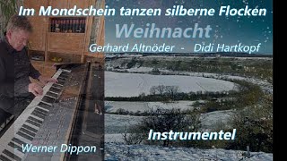 quotIm Mondschein tanzen silberne Flocken quot Instrumentel  Werner Dippon [upl. by Otiv]