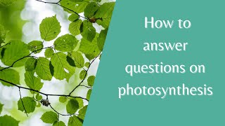 Photosynthesis How to answer test questions on photosynthesis  Biology Revision Years 7 8 amp 9 [upl. by Halehs643]