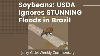 Soybeans USDA Ignores STUNNING Floods in Brazil [upl. by Anitnerolf]