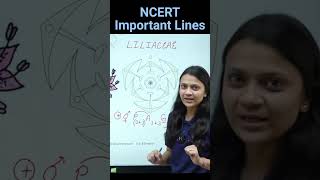 Liliaceae Family  Revision Biology NEET  NCERT important lines for NEET  medicalentrance neet [upl. by Farwell]