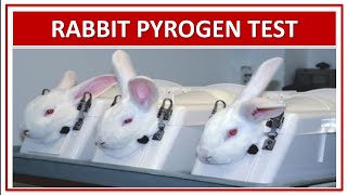 RABBIT PYROGEN TEST  MOST IMPORTANT FOR GPAT NIPER DI PHARMACIST EXAMINATION [upl. by Bryant]