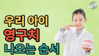 우리 아이 영구치 맹출 시기 및 순서 유치 빠지는 순서 소아치과 영구치 치아교정 치과의사 치과 육아 육아꿀팁 [upl. by Adnawyt]