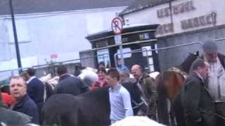 Horse Fair Listowel [upl. by Nosloc633]