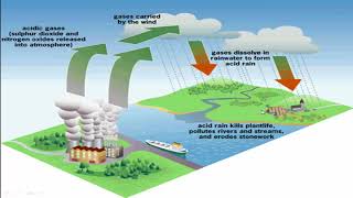 Sources of Energy Class 10 Complete Chapter [upl. by Ferd]