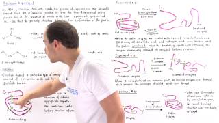 Anfinsens Experiment of Protein Folding [upl. by Ventre]