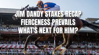 Jim Dandy Stakes Recap  Fierceness Prevails  Whats Next for Him [upl. by Darcy]