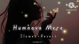 Hamnava Mere slowedReverb hamnavamere new song lofi sadsong [upl. by Yelac]