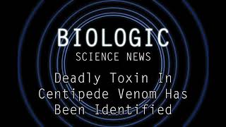 Science News  Deadly Toxin In Centipede Venom Has Been Identified [upl. by Oker163]