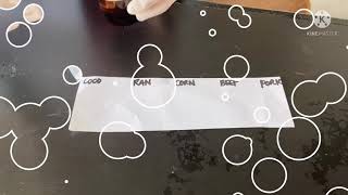 Biochemistry Lab Tests for Lipids Spot test Acrolein test amp LiebermannBurchard test [upl. by Neerom]