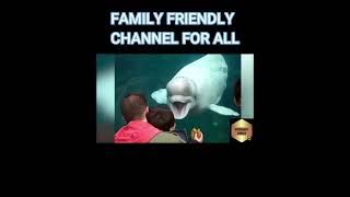 Beluga Whales Surprising Talent Captivates Kids [upl. by Georgia]