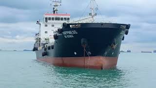 RORO Royalty Shipspotting the Wallenius Wilhelmsen Vessel  SINGAPORE  AMSTERDAM  ISTANBUL [upl. by Notnilc]