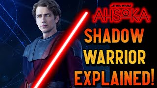 Anakins quotShadow Warriorquot FULLY EXPLAINED  The Father of Mortis  Star Wars Explained [upl. by Yrogiarc]