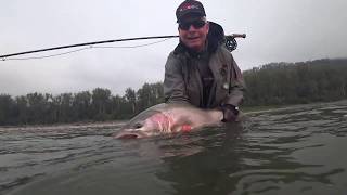 Chromatic Journey  BC Steelhead [upl. by Ahcim]