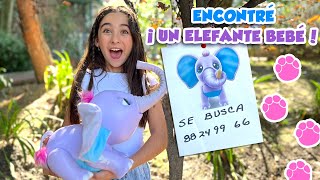 ME ENCONTRÉ UN ELEFANTE BEBÉ [upl. by Carlock]