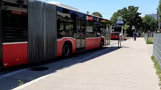 Autobus Linie 31A Großjedlersdorf Jochbergengasse in Wien [upl. by Sigismond]