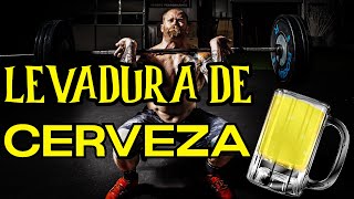 levadura de CERVEZA para AUMENTAR masa MUSCULAR  ESTA ES LA DOSIS CORRECTA [upl. by Tori402]