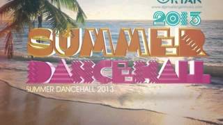 Dj Private Ryan  The Summer Dancehall Sampler 2013 [upl. by Ollehcram271]