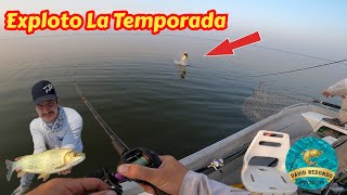 EXPLOTA 💥 La Pesca 🎣 En TERMAS Dorados Bagres Y Sabalos [upl. by Tomasina]