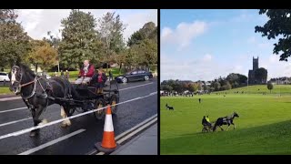 Ballinasloe Horse Fair October 2021 [upl. by Anjanette]