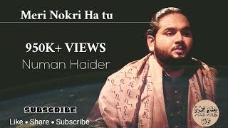 Meri Nokri Ha tu  Cover Track  Numan Haider [upl. by Acysej]