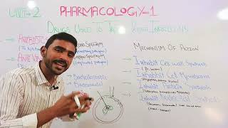 Antimicrobials Antimicrobial Drugs Antibiotics Antiviral Antifungal in HindiUrdu [upl. by Haskins896]