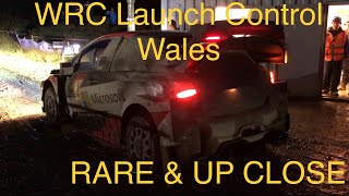 2019 Wales Rally GB  SS10 Aberhirnant 2 RARE STARTLINE WRC LAUNCH CONTROL [upl. by Louanna]