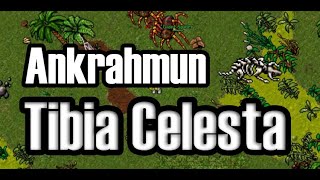 Tibia Celesta Ankrahmun  Bonebeast Hunt [upl. by Alistair]