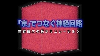 ScienceNews2013「京」でつなぐ神経回路 世界最大の脳シミュレーション [upl. by Ihtac]