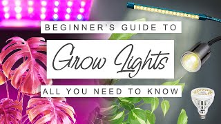 Easy Beginners Guide To Grow Lights For Houseplants 💡 GROW LIGHT 101 🌱 Why When  How To Use Them [upl. by Elleval748]