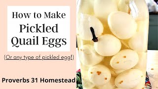 Making Pickled Quail Eggs or any type of pickled egg [upl. by Orpha552]