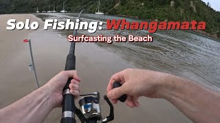 Surfcasting off Whangamata Beach with Sabiki Rigs and caught THESE [upl. by Liagibba202]