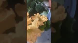 Wowwwmy garden vegetables 🥒🥬🥦🍏🍐🥝satisfying garden [upl. by Gasser]