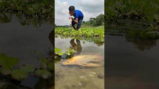 Best Bamboo Tools Teta Fishing In The World fishing amazing fish ytshorts viral fish bigfish [upl. by Waligore]