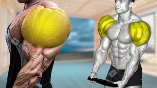 6 Dumbbell Exercises to Get Huge Shoulder Fast [upl. by Novaat668]