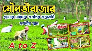 মৌলভীবাজার জেলার সবচেয়ে জনপ্রিয় ৫ টি দর্শনীয় স্থান।। Moulvibazar 5 tourist spot ।। [upl. by Tekcirk724]