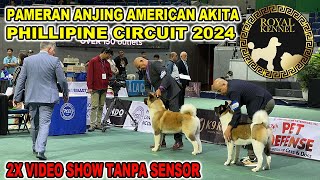 UNCENSORED  American Akita Show  Phillipine Circuit 2024 [upl. by Ztirf]