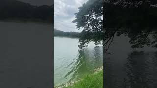 Lalbagh bangalore pond walkaround travel walkaroundvideo [upl. by Seadon]