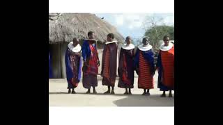 Maasai Dance  Amazing Traditional Maasai Singing amp Dancing [upl. by Higinbotham]