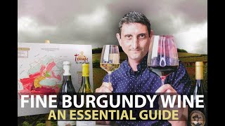 10Minute Guide to Burgundy  Fine Wines from Bourgogne Part1 [upl. by Kalindi777]